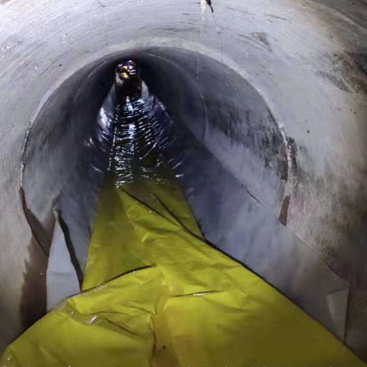 新抚管道光固化修复